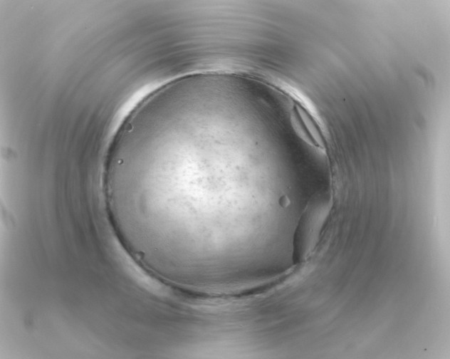 X0000090891091200708101358