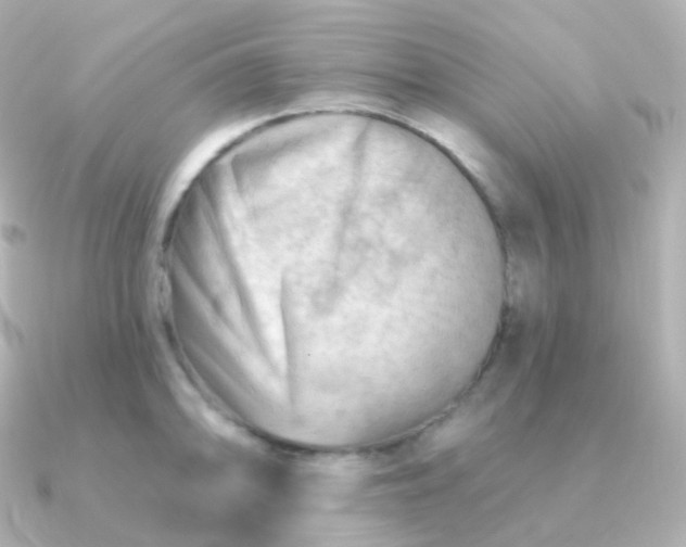 X0000090891094200708101358