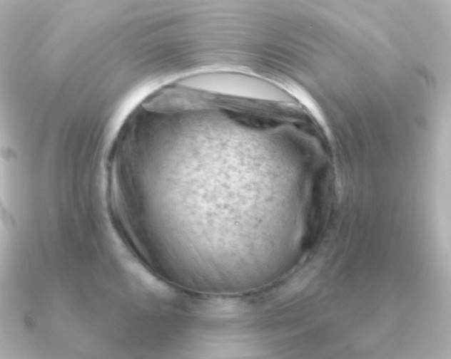 X0000090891096200708101358