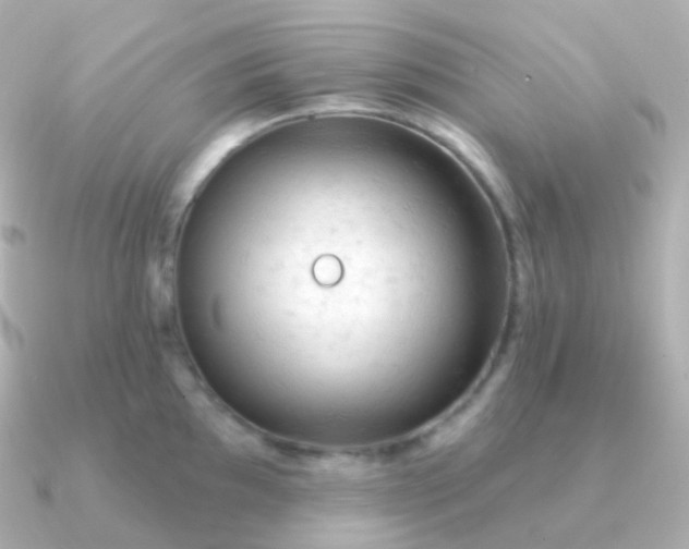 X0000090891097200708101358