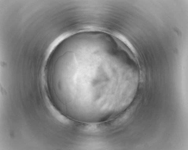 X0000090891098200708101358