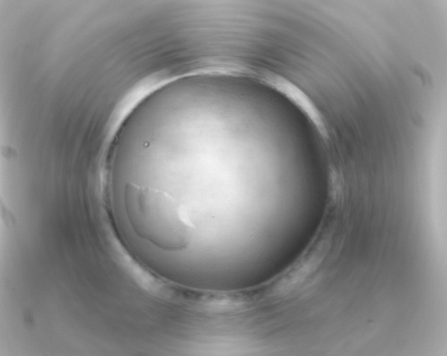 X0000090891099200708101358