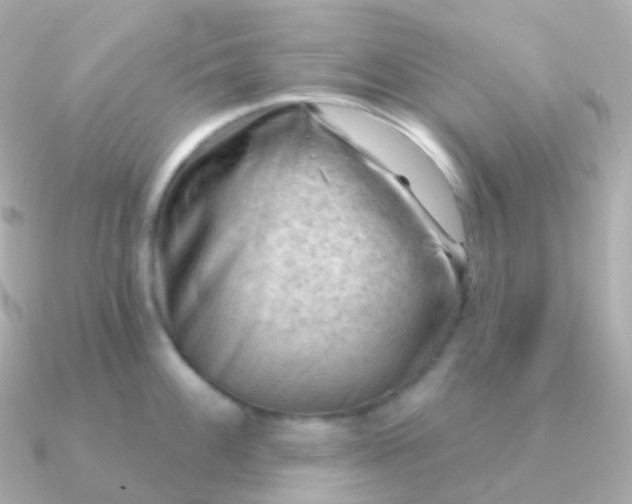 X0000090891100200708101358