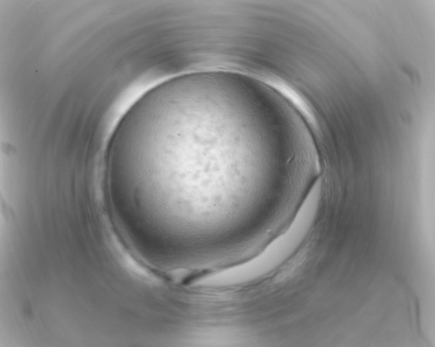 X0000090891102200708101358