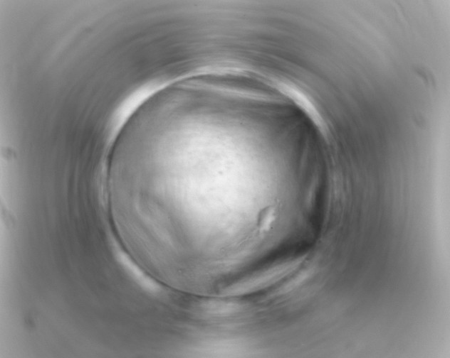 X0000090891103200708101358