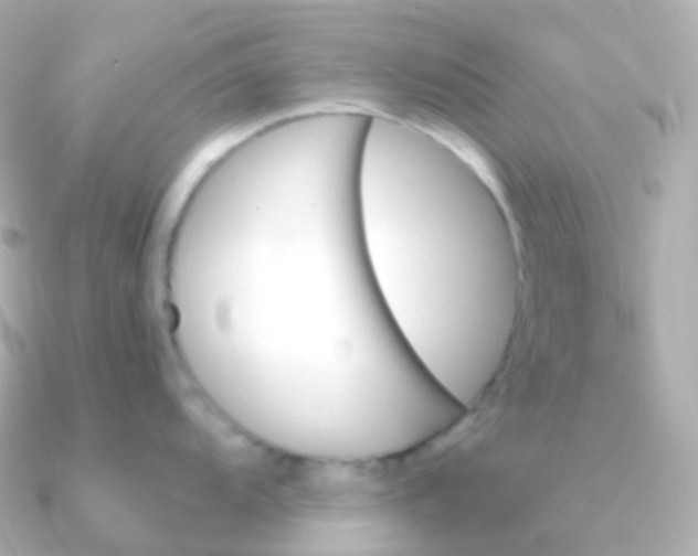 X0000090891104200708101358