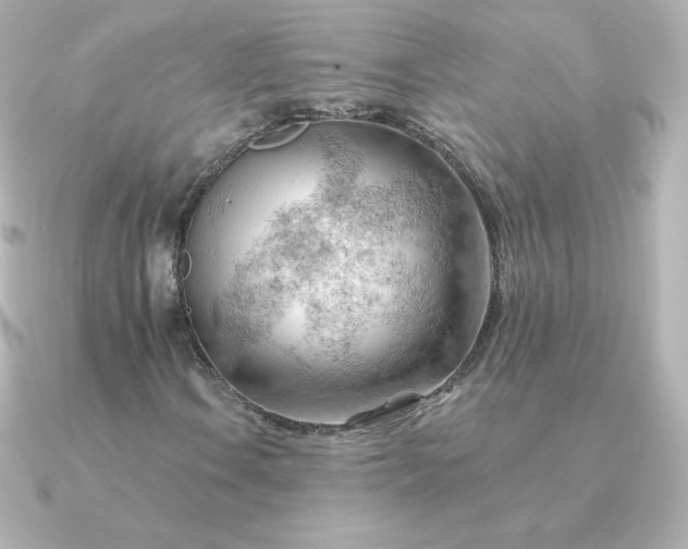 X0000090891106200708101357