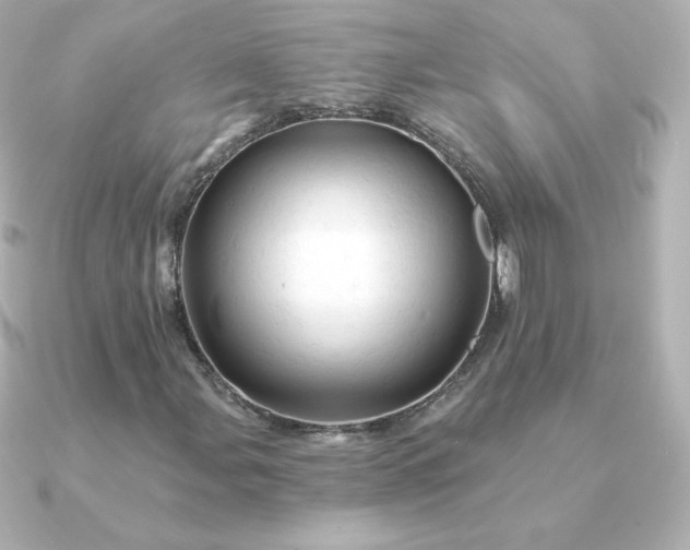 X0000090891107200708101357