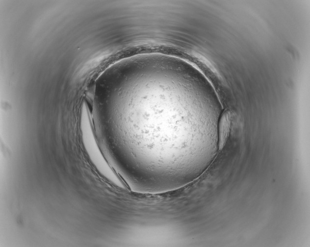 X0000090891111200708101357