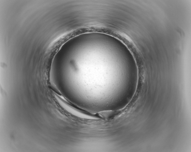 X0000090891112200708101357