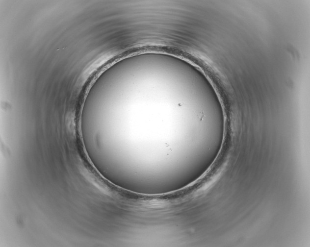 X0000090891113200708101357