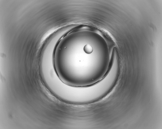 X0000090891114200708101357