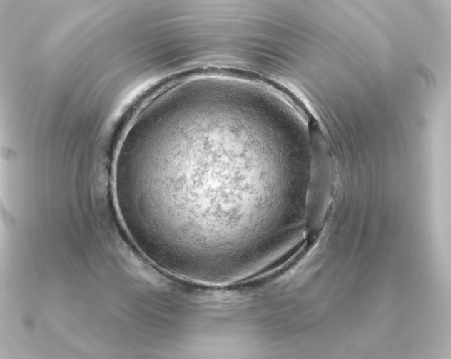 X0000090891115200708101357