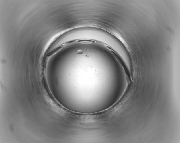 X0000090891116200708101357