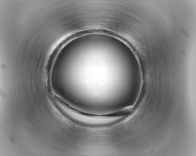 X0000090891118200708101357