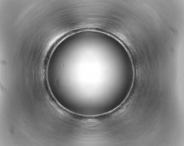 X0000090891119200708101357