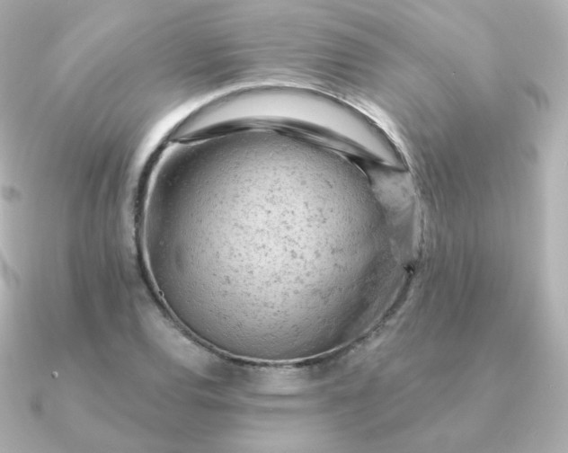 X0000090891120200708101357