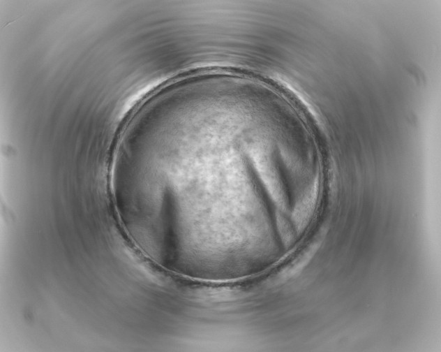 X0000090891121200708101357