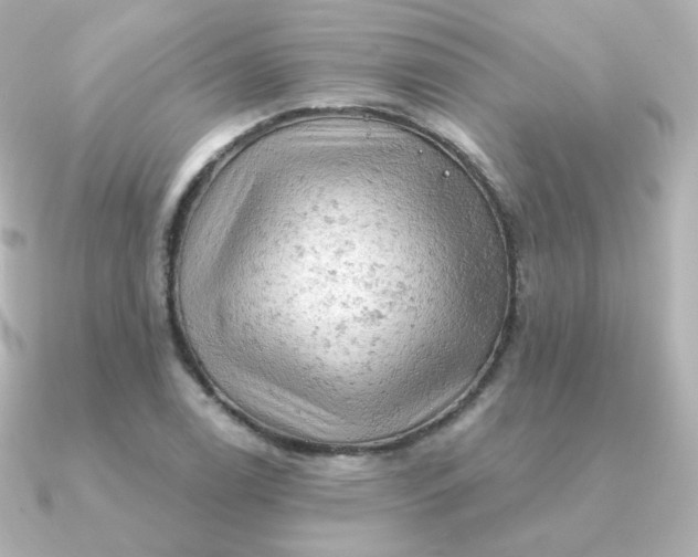 X0000090891122200708101357