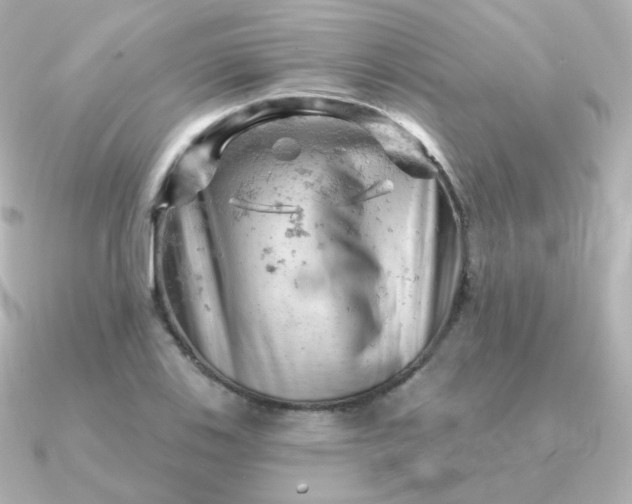 X0000090891123200708101357