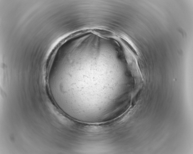 X0000090891124200708101357