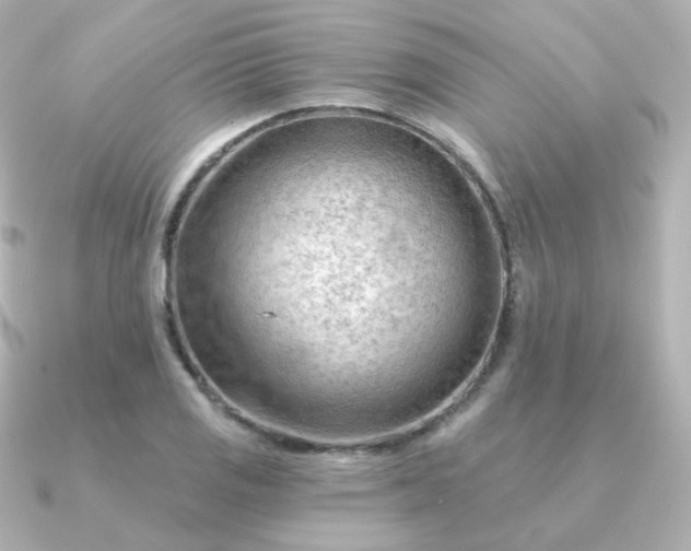 X0000090891125200708101357