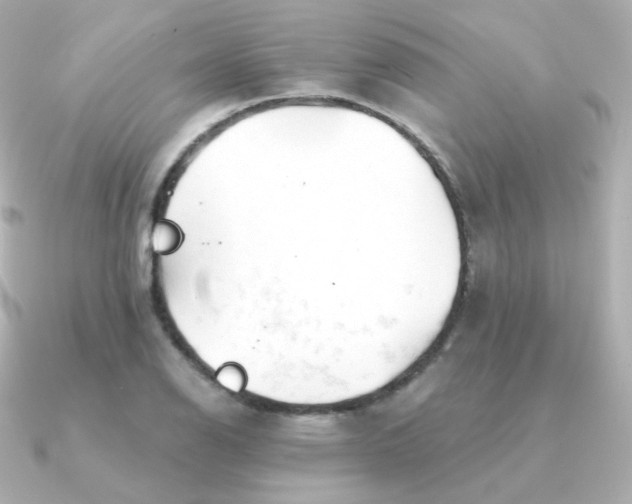 X0000090891126200708101357