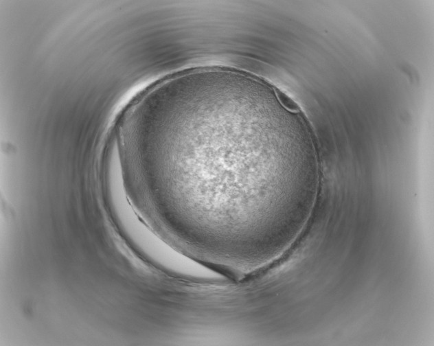 X0000090891127200708101357