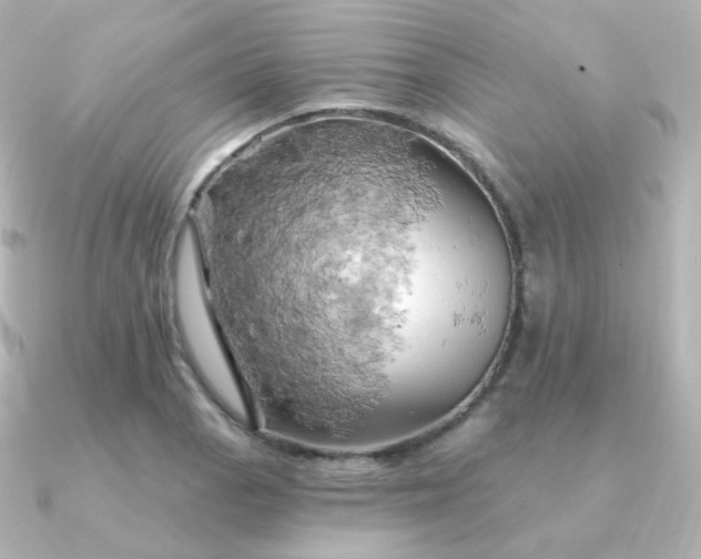 X0000090891129200708101357