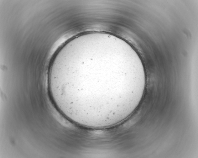 X0000090891130200708101357