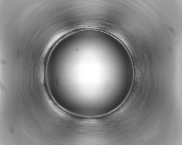 X0000090891131200708101357