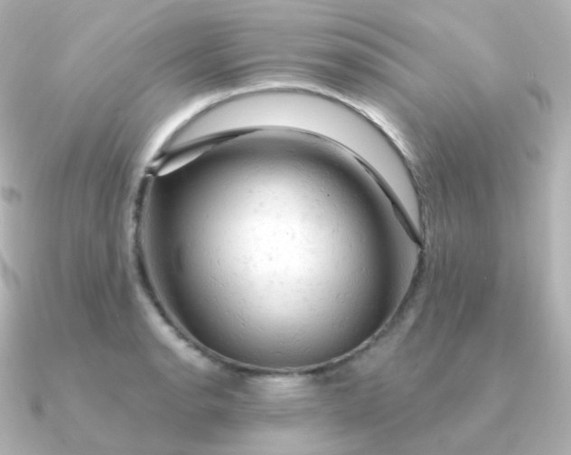 X0000090891134200708101358