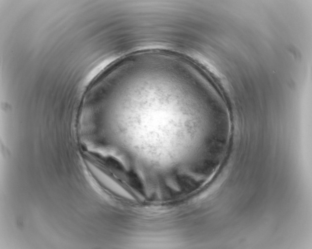 X0000090891137200708101358