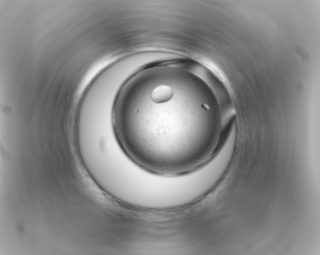 X0000090891138200708101358