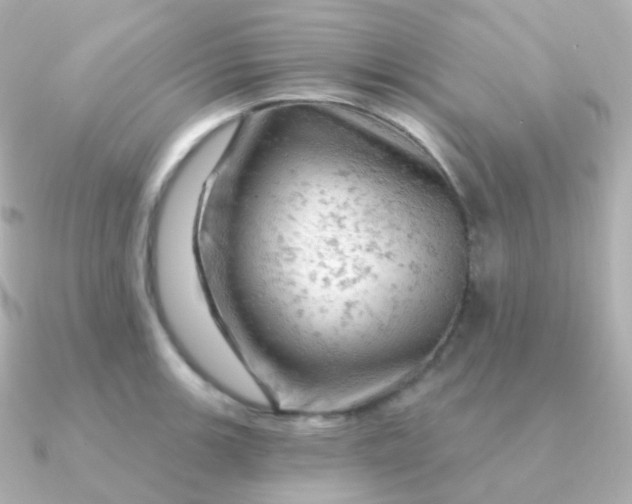 X0000090891139200708101358