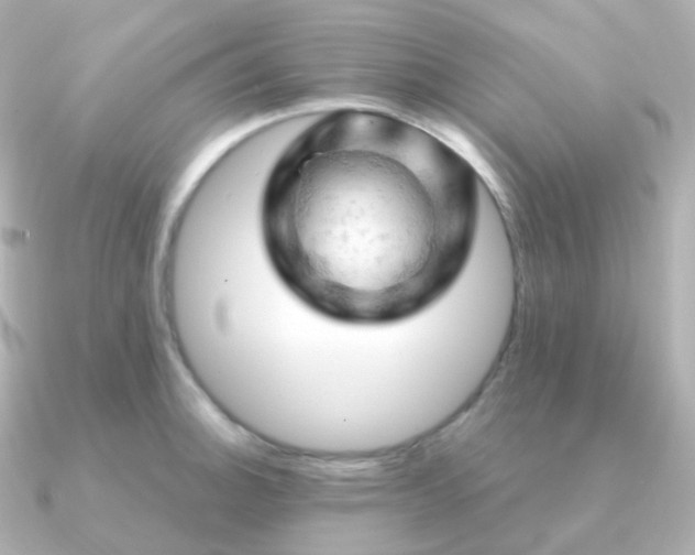 X0000090891140200708101358