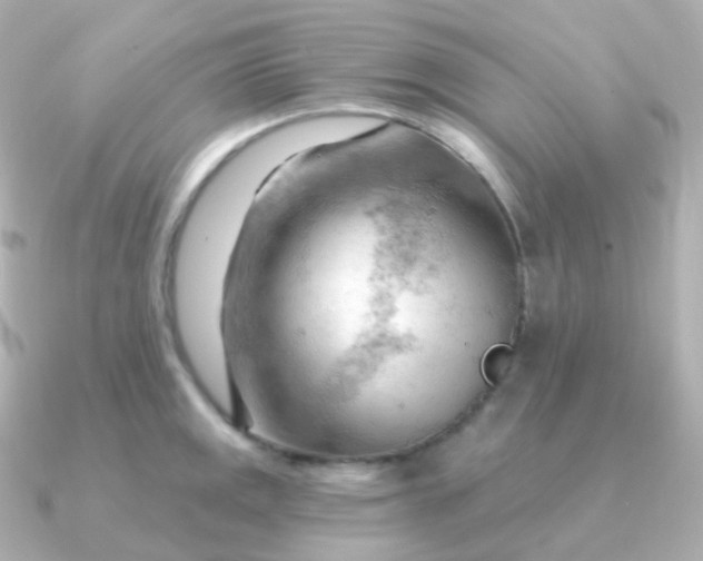 X0000090891141200708101358