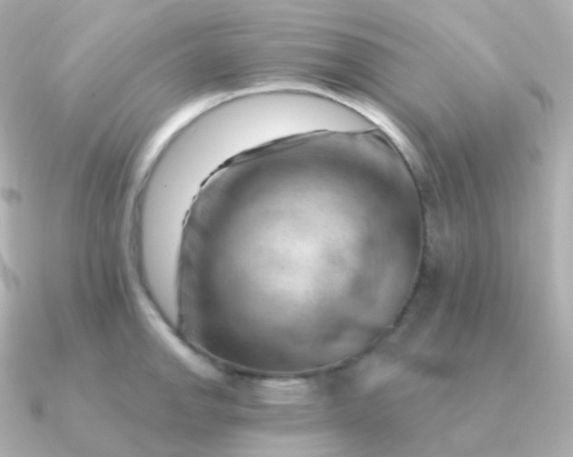 X0000090891142200708101358