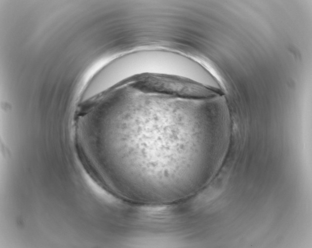 X0000090891143200708101358