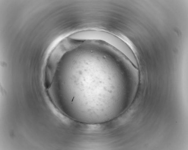 X0000090891144200708101358