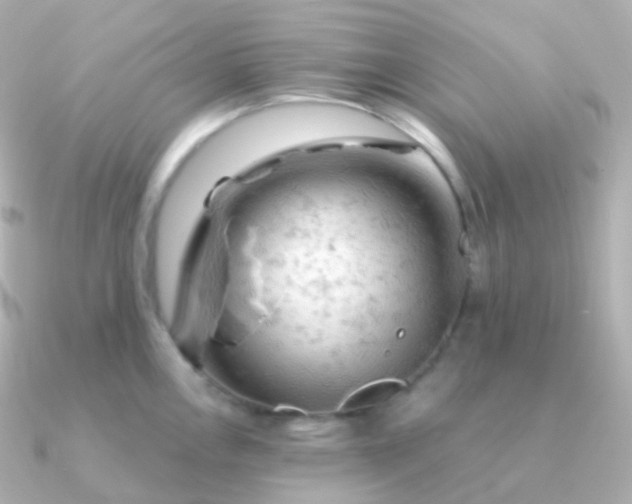 X0000090891146200708101358