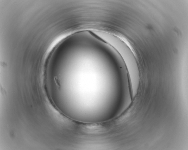 X0000090891147200708101358