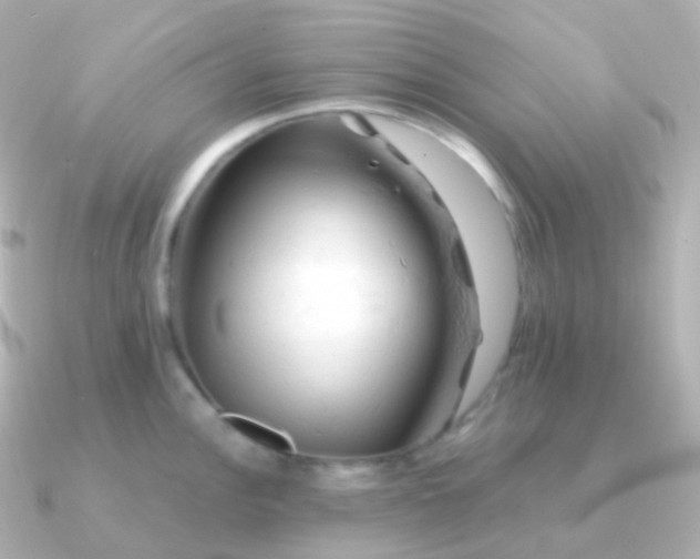 X0000090891148200708101358