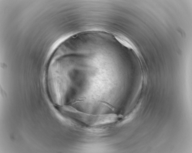 X0000090891149200708101358