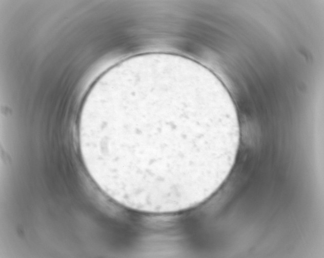 X0000090891150200708101358