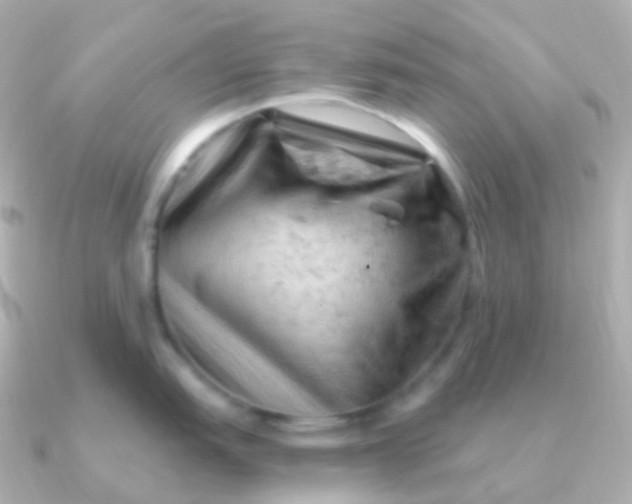 X0000090891151200708101358