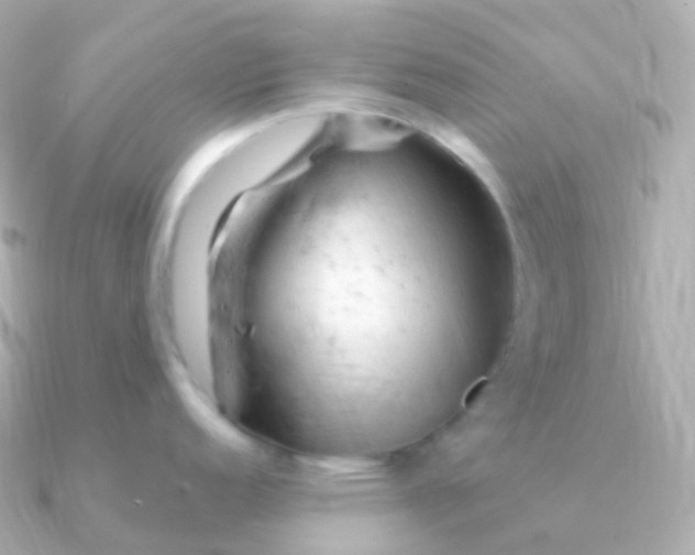 X0000090891152200708101358