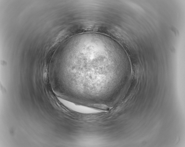 X0000090891154200708101357