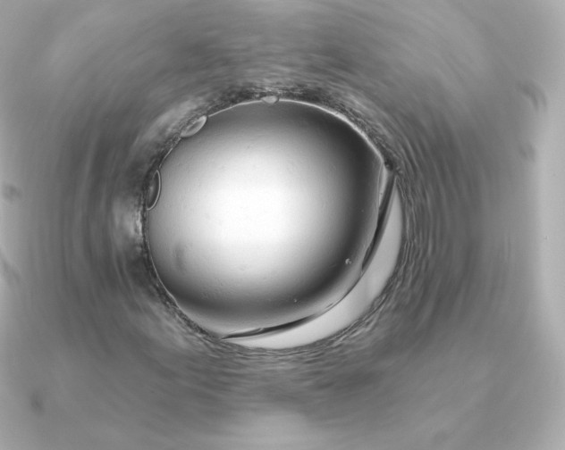 X0000090891155200708101357