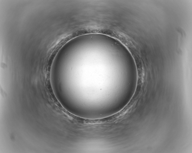 X0000090891157200708101357